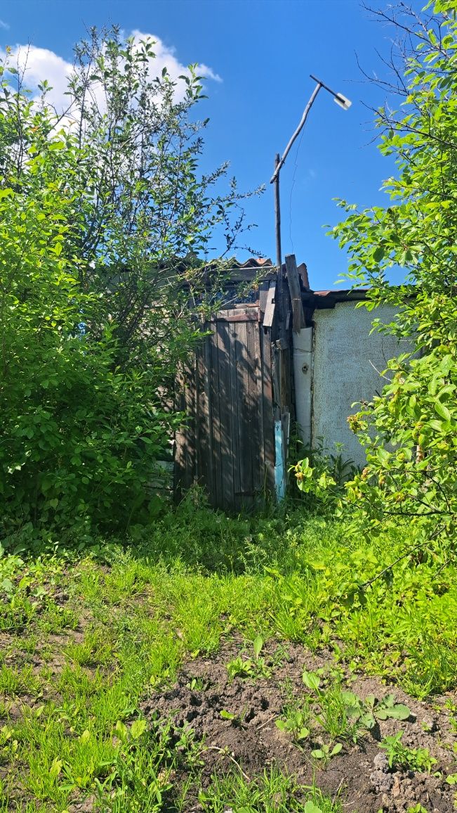 Продам ухоженную дачу в дачном обществе,,Борки,,