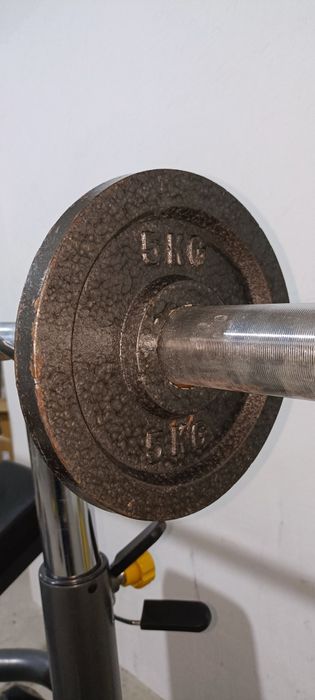 Блины олимпийские по 5 кг две штуки