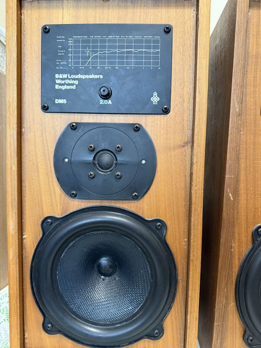 bowers & wilkins DM-5