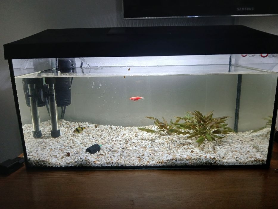 Vând acvariu anual 54l