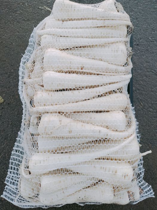 Păstârnac de vanzare