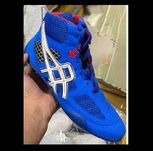 Борцовки Asics для борьбы и единоборств (2949)