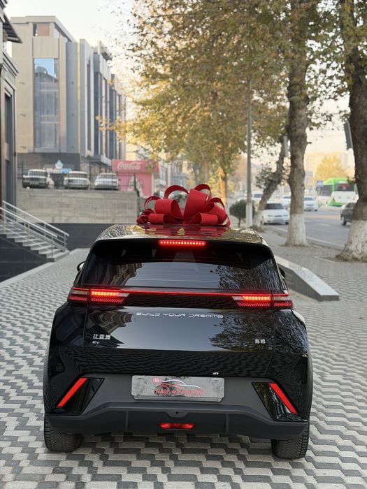 BYD seagull 405km Full