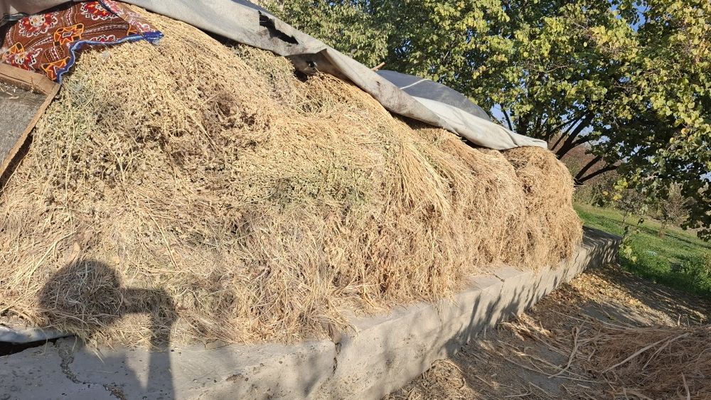 Беда ва утлар сотилади