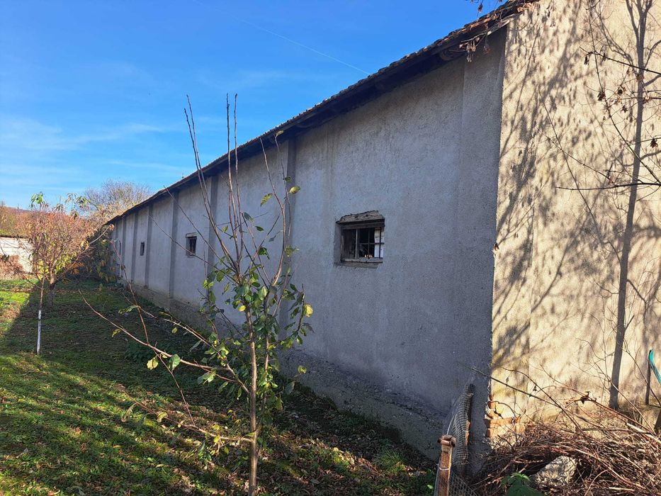 Vand hala + teren Bretea Muresana