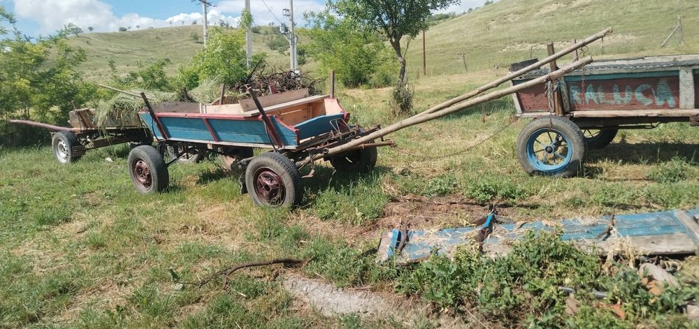 De vânzare căruțe