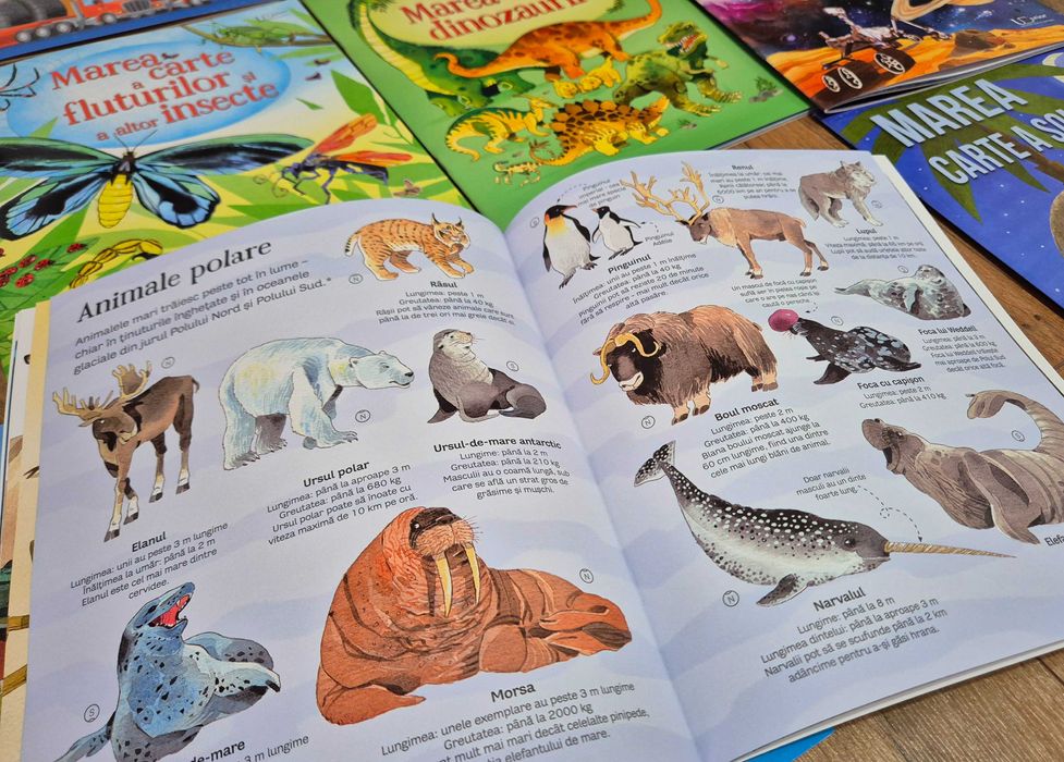 Set Marea carte a, ilustrate-Set de carti noi educative pentru copii