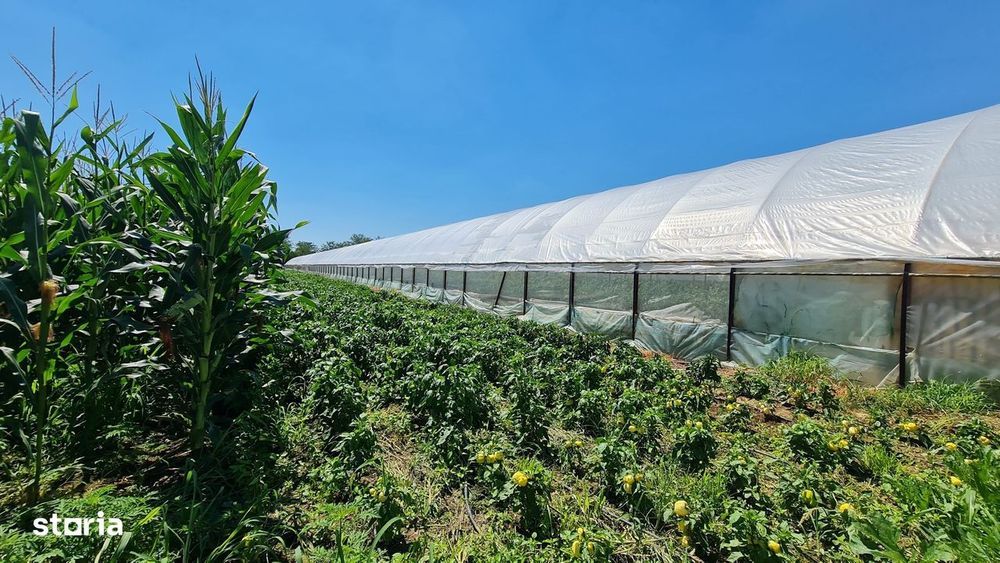 Afacere la cheie! Incasari din prima zi!!!