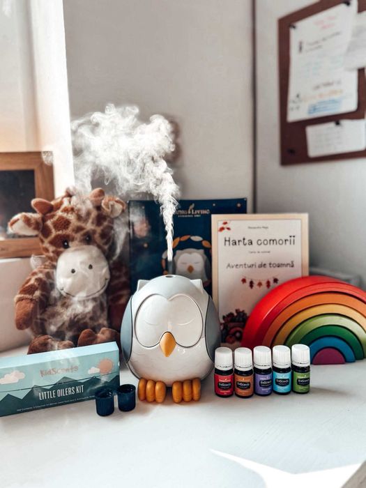 Difuzor+kit de uleiuri