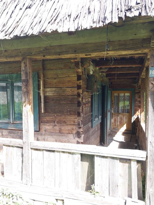 Teren intravilan (16 ari) si casă traditională, intăbulate in Breb - M