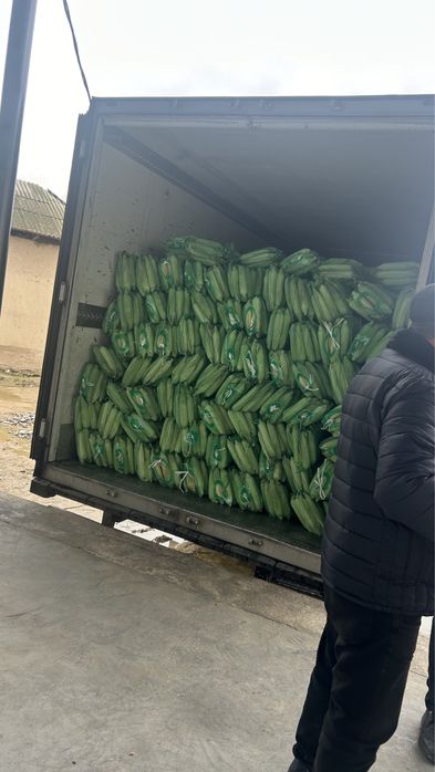 Кукуруза замороженая жүгері