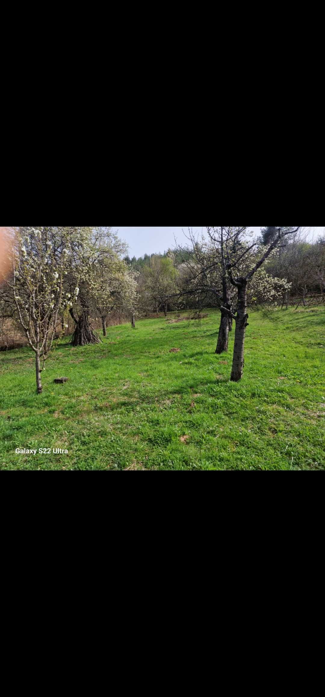 Парцел в гола велика