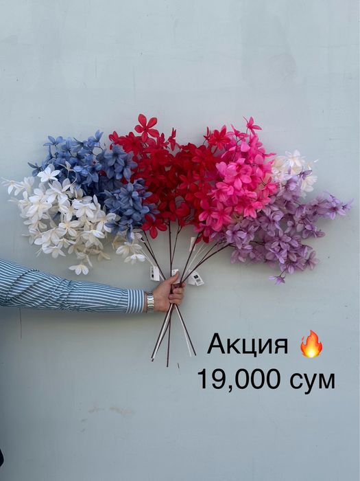 Суний гуллар шохлар оптом