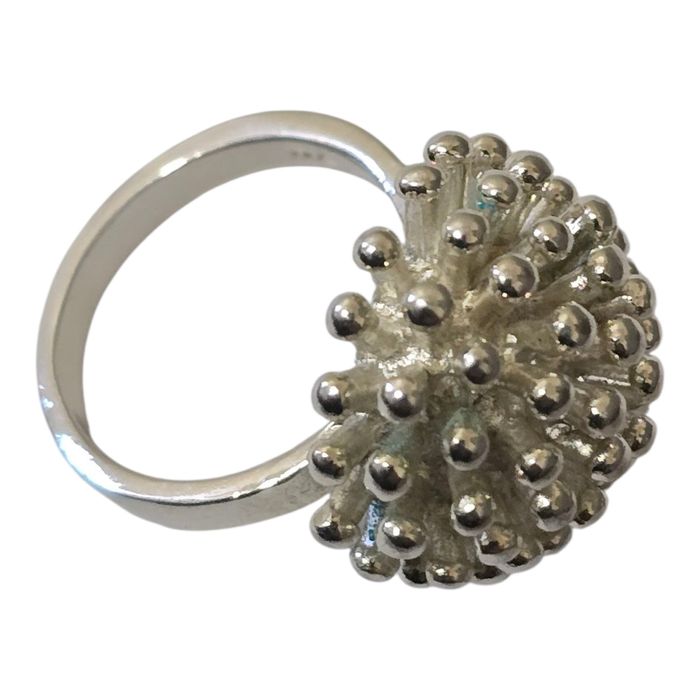 Inel argint deosebit