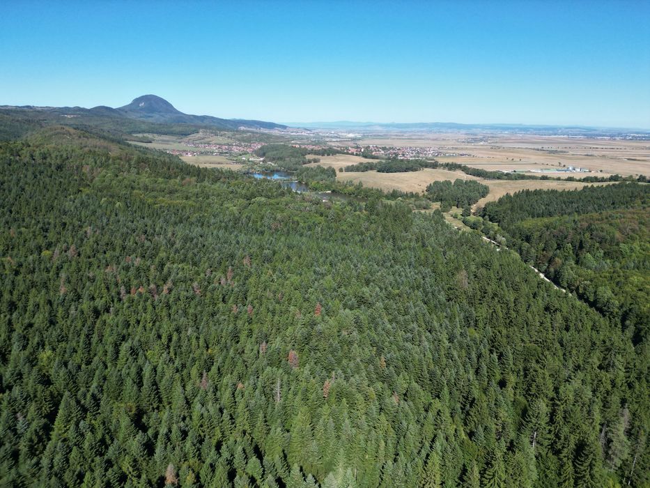 Teren Vulcan Intravilan 2000mp Poieniță Frumoasă lângă Lacuri