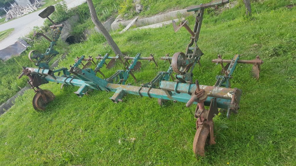 Prasitoare de porumb