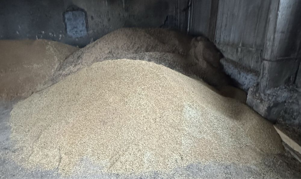 Продам зерноотходы-кормосмесь!