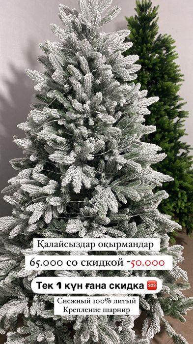 Ёлка ёлка ёлкаа