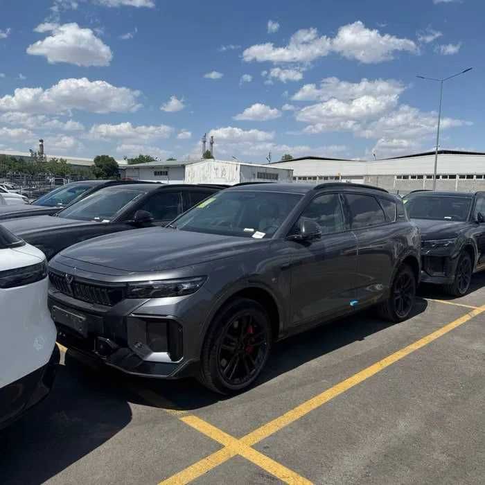 Voyah free 318 модель 2025 (Перечисление и кредит)