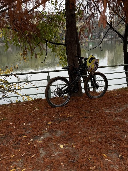 Canyon Torque full suspension