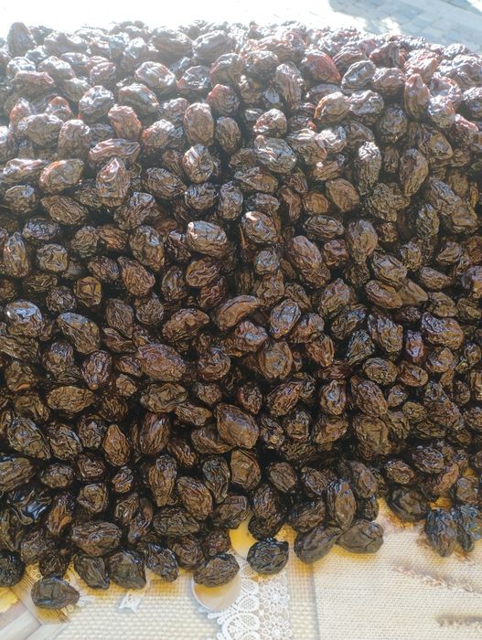 Prune uscate fără fum producție 2025 calitate superioara