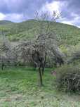 Vand teren in Magura Ierii Cj