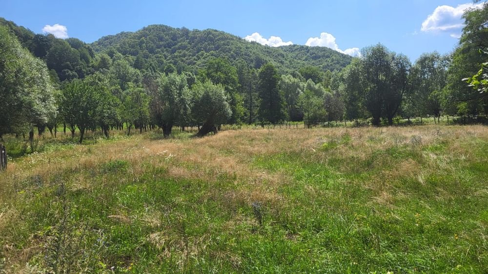 Terenuri de vanzare