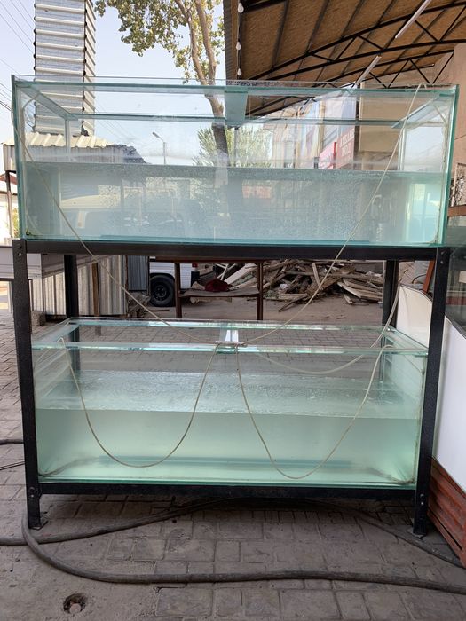 Akvarium kafe uchun