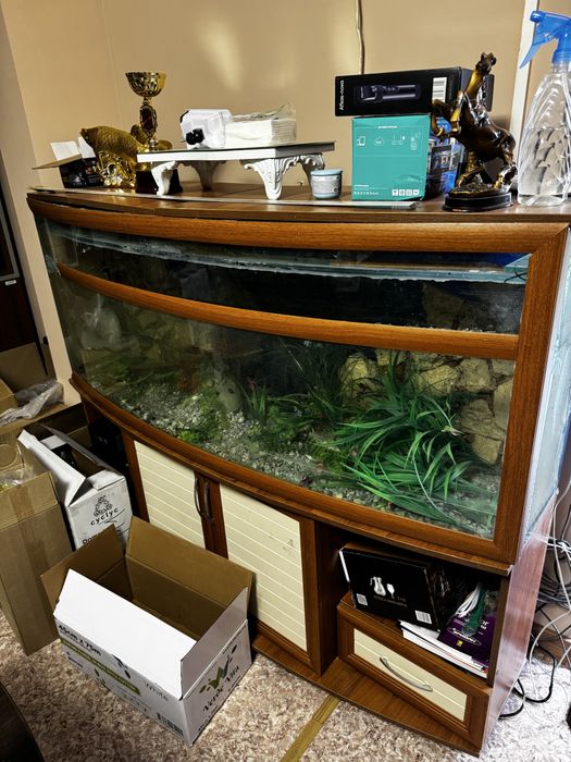 Аквариум продается