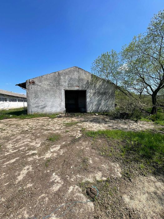 Teren intravilan 16382mp