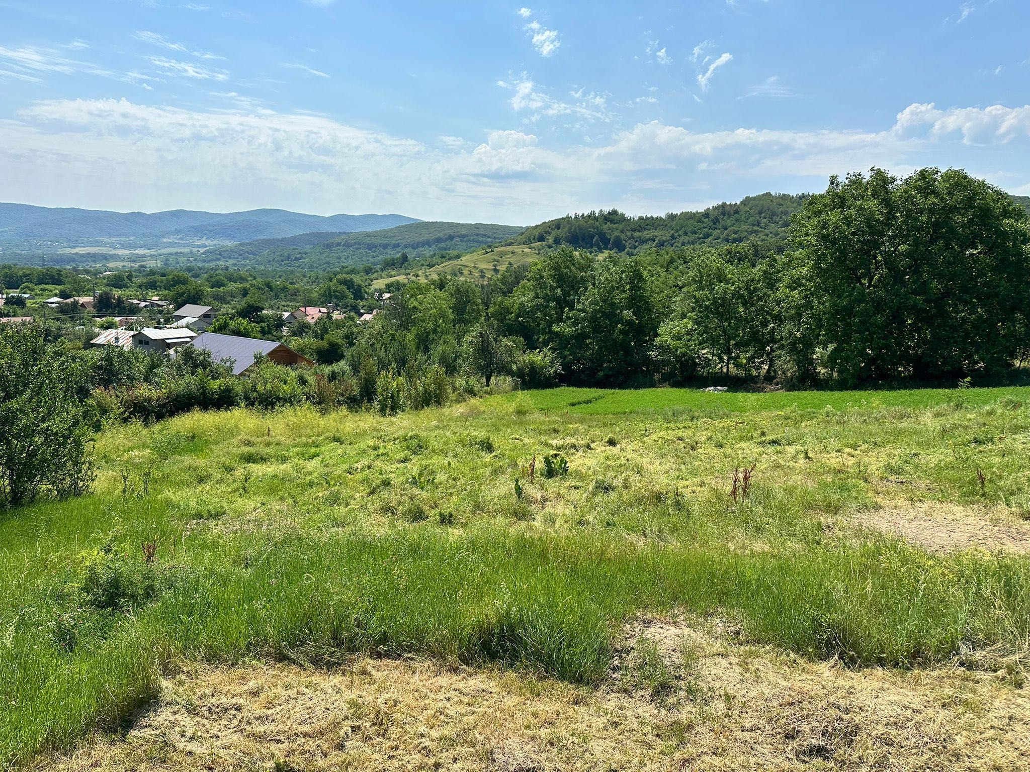 Teren intravilan 5096 mp în Bărăști, Com. Cislău, Jud. BZ, 7,65 EUR/mp