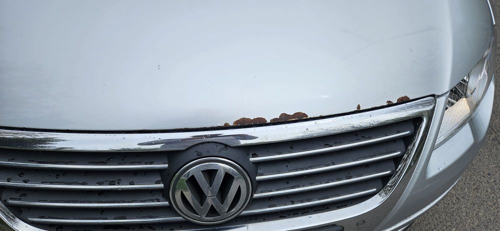 Passat b6 motor 1.9