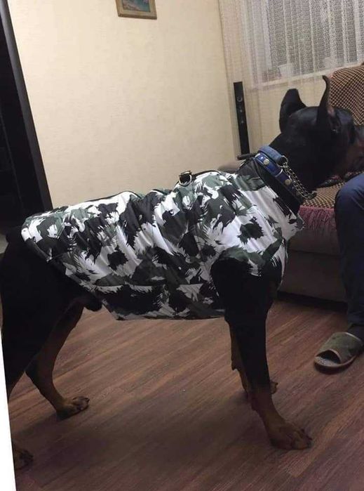 Дрехи за големи кучета