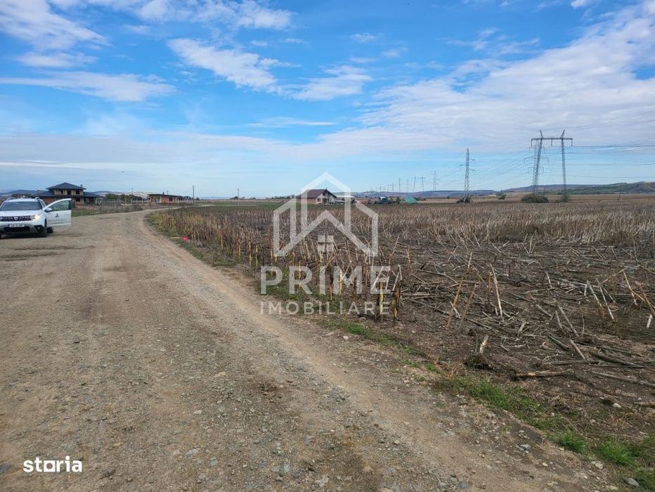 Teren de vanzare in Oarda de Jos , 8300  mp din care 2700 mp intravila