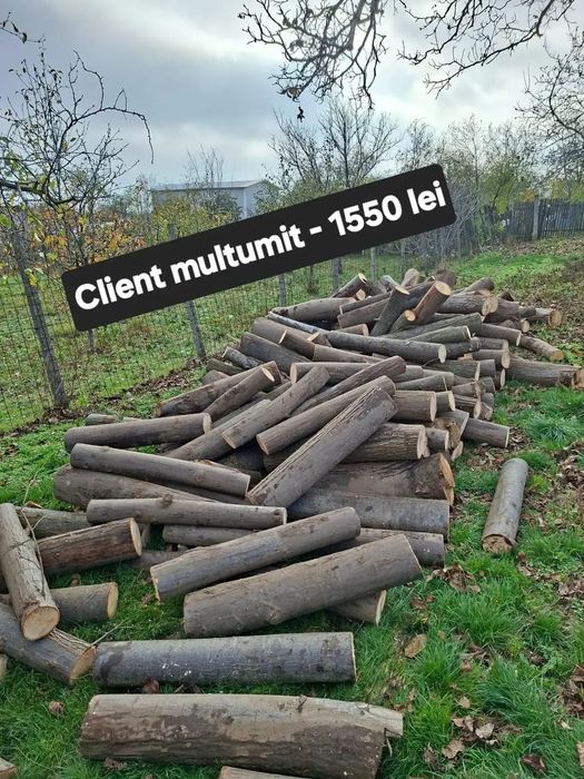 Vând lemn de foc tei 350 lei mc