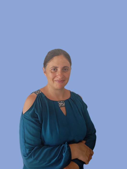 Meditații matematica, economie,informatică, învățământ primar