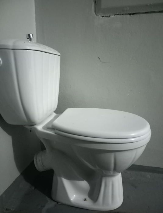 Унитаз в рабочем