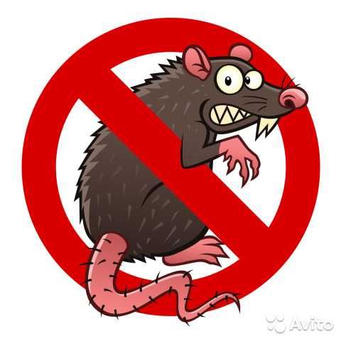 Мыши,крысы, насекомые - истребление Добросовестно (опыт Сергей)