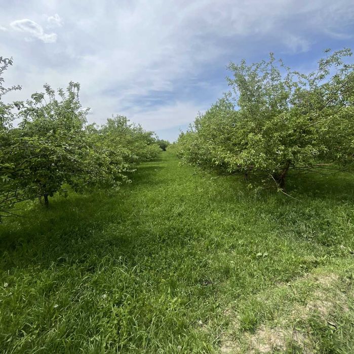 Готовые участки ИЖС Талгарский район
