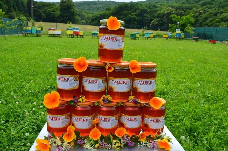 Apicultor Cluj vând miere de albine