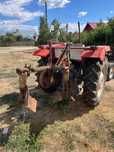 Tractor massey ferguson 133