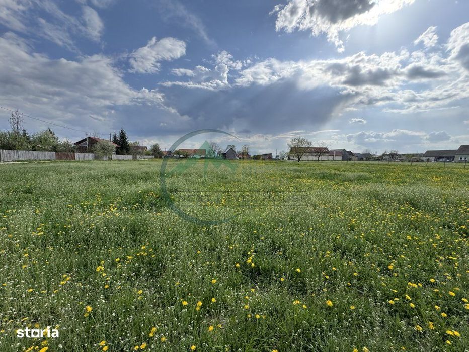 Teren Sat Bacel 6200 mp