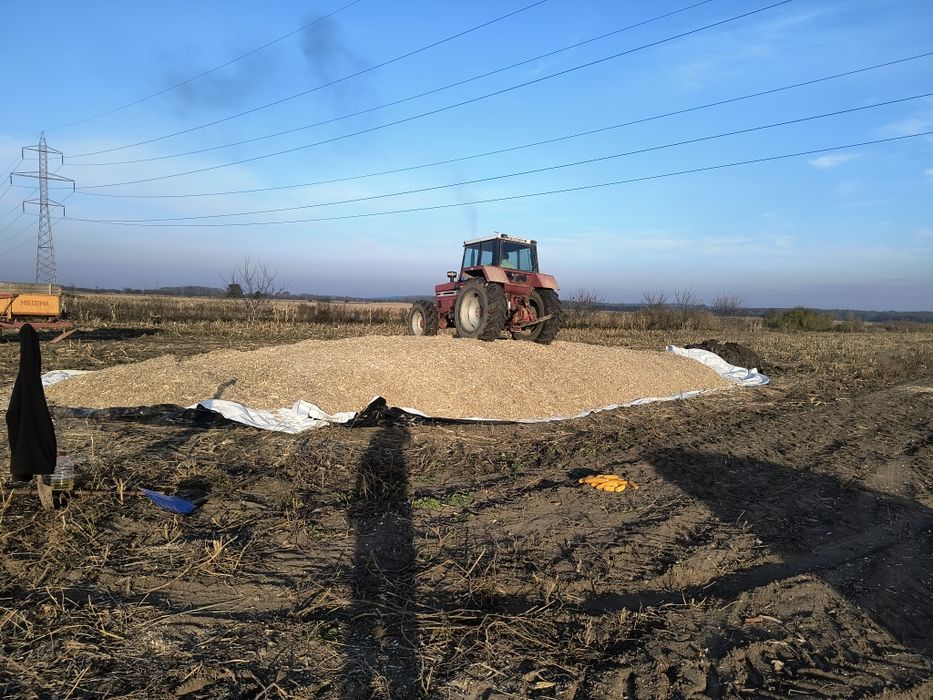 Vând siloz de porumb