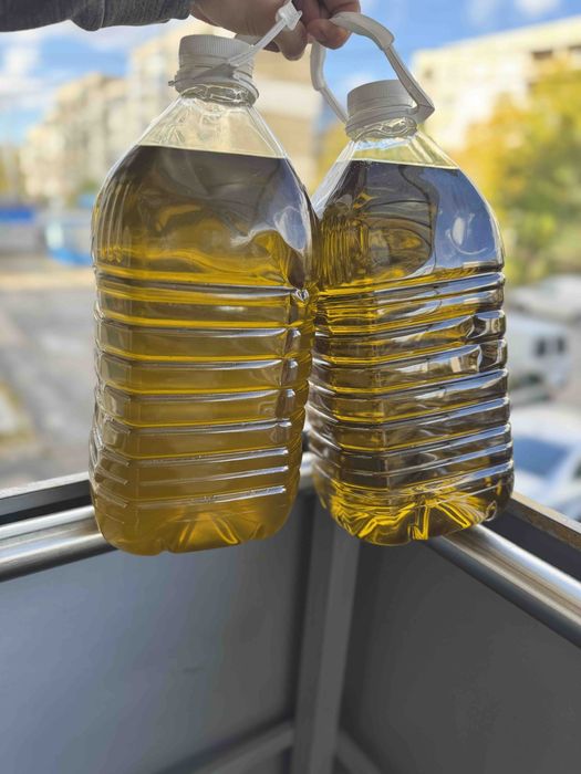 Домашен гръцки зехтин Сорт Коронейки 100%