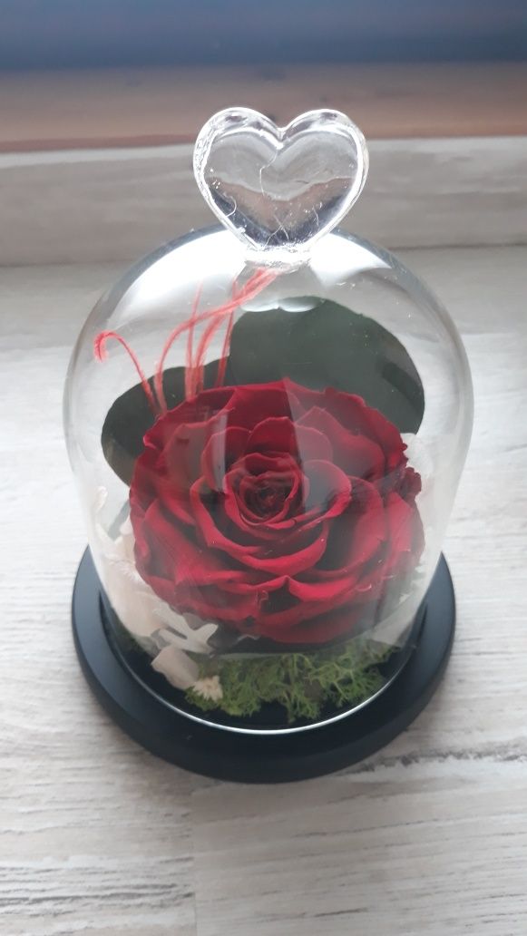 Cadou trandafir criogenat in cupola de sticla