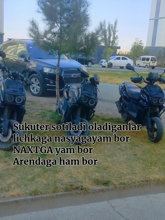 Sukuter xolati alo 2024 NASYAGAYAM bor