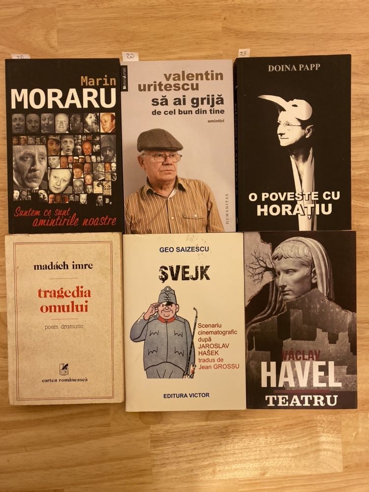 Teatru Chinezesc,C. Gozzi,Gombrowicz, Peter Brook, Novarina, Doina Pop