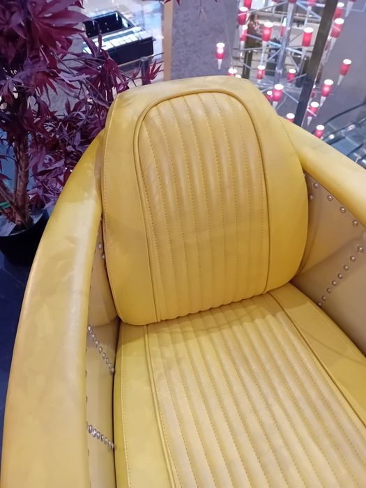 Fotoliu piele și aluminium