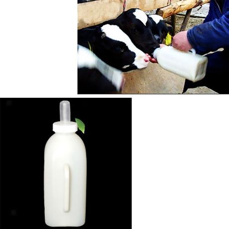 Recipient pentru lapte la vitei cu biberon. 1L sau 2L Noi!