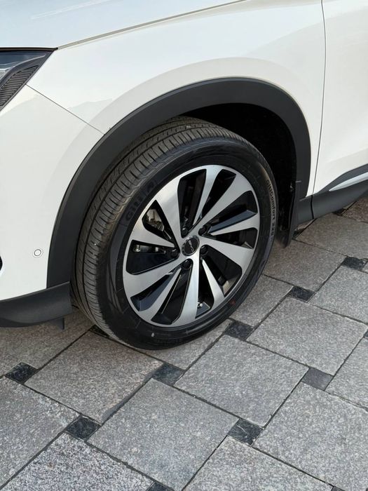 Byd champion honr sotiladi